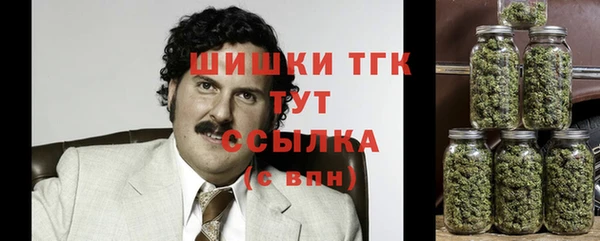 дурь Надым