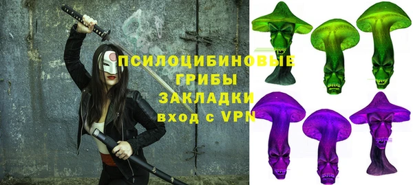 дурь Надым