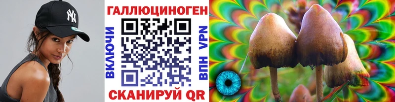 Галлюциногенные грибы Psilocybine cubensis  даркнет сайт  Чулым 